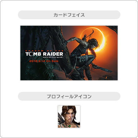 シャドウ オブ ザ トゥームレイダー カードフェイス+アイコンの写真
